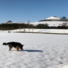 Snow Day!