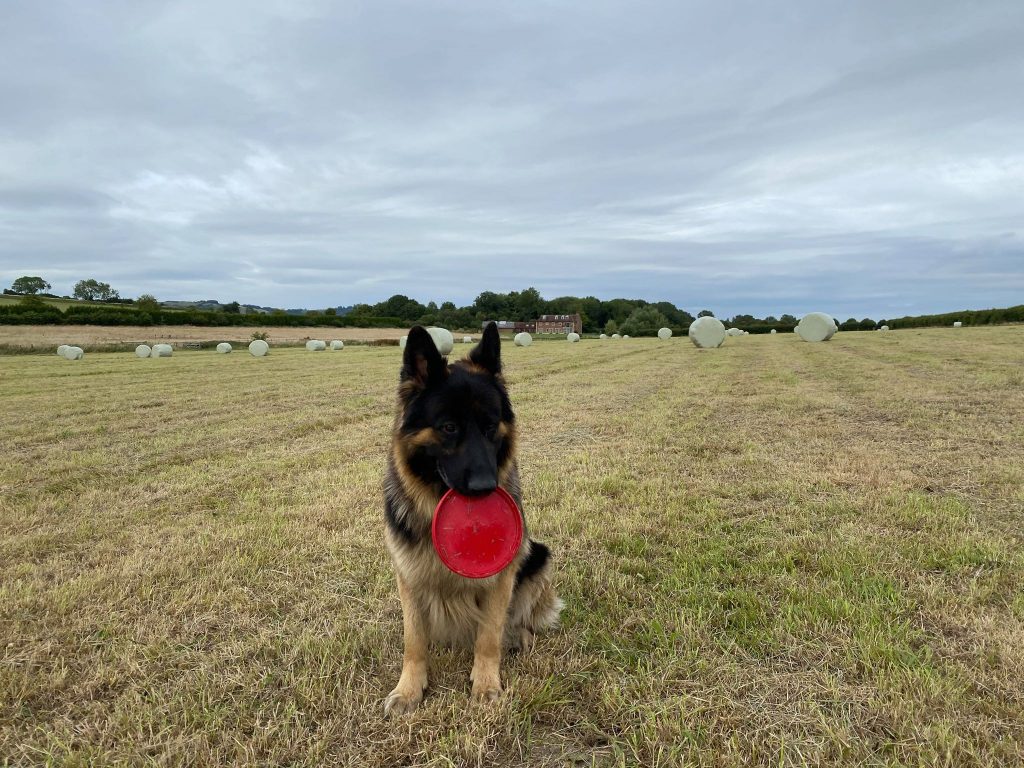 Odin With Bales