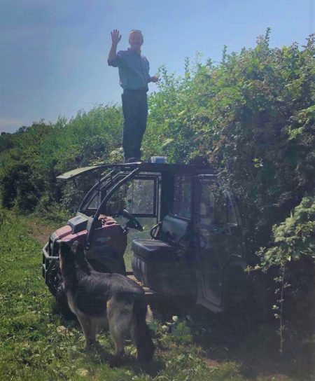 Collecting Blackberries!