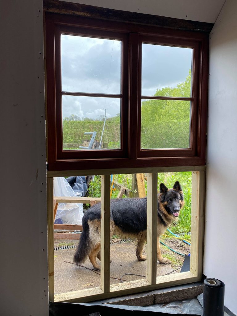 Odin on site looking through new window
