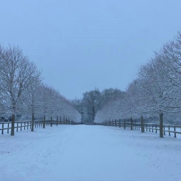 No Such Thing As A ‘Snow Day’!