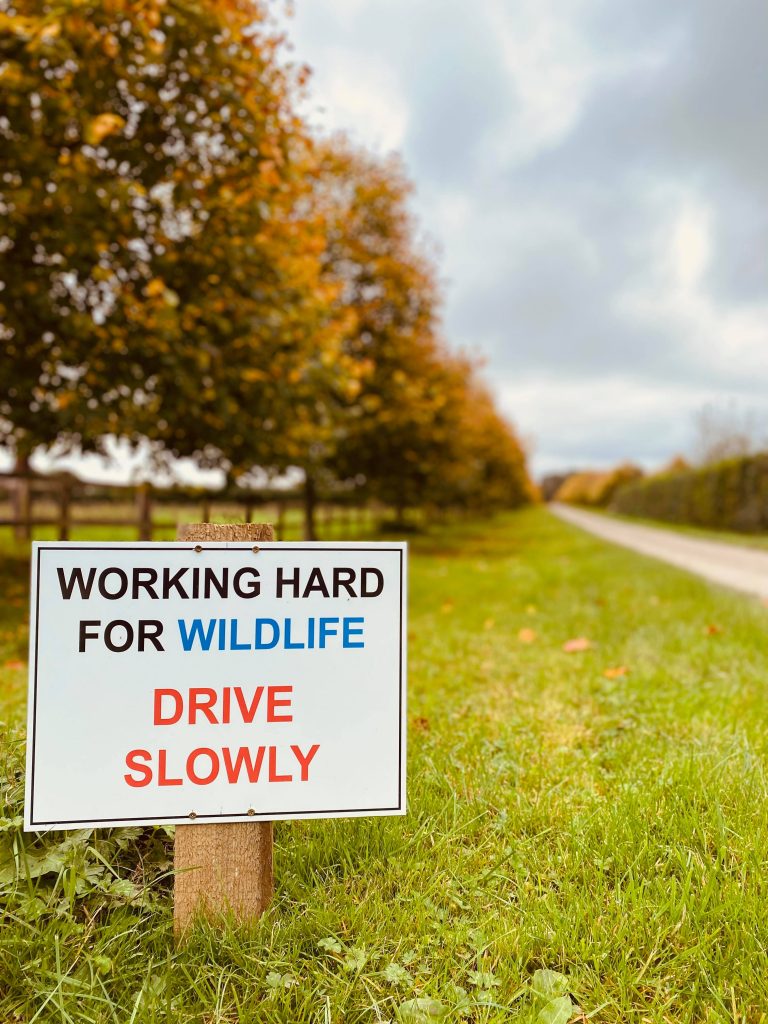 Working Hard For Wildlife