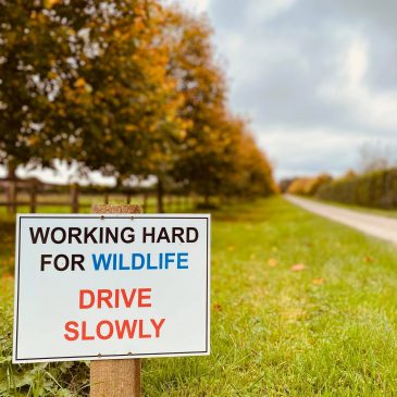Working Hard For Wildlife!