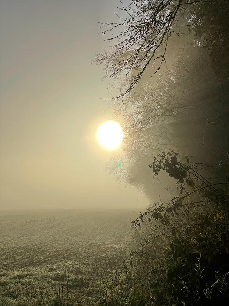 Misty Farm Morning
