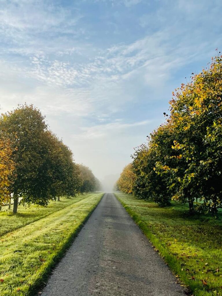 Misty Drive