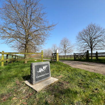 Cocklebury Farm Sign