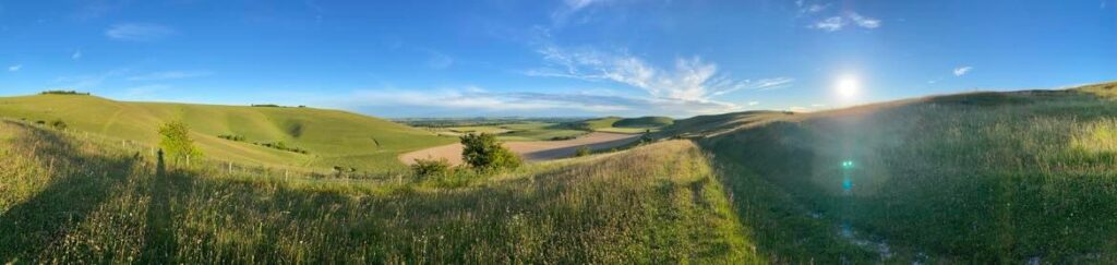 Local Countryside 3