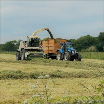 Sun Out – Tractor Out!