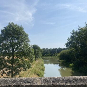 Our top local summer suggestions!