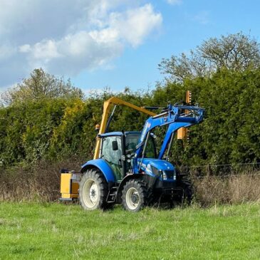 It’s Hedge Cutting Time!