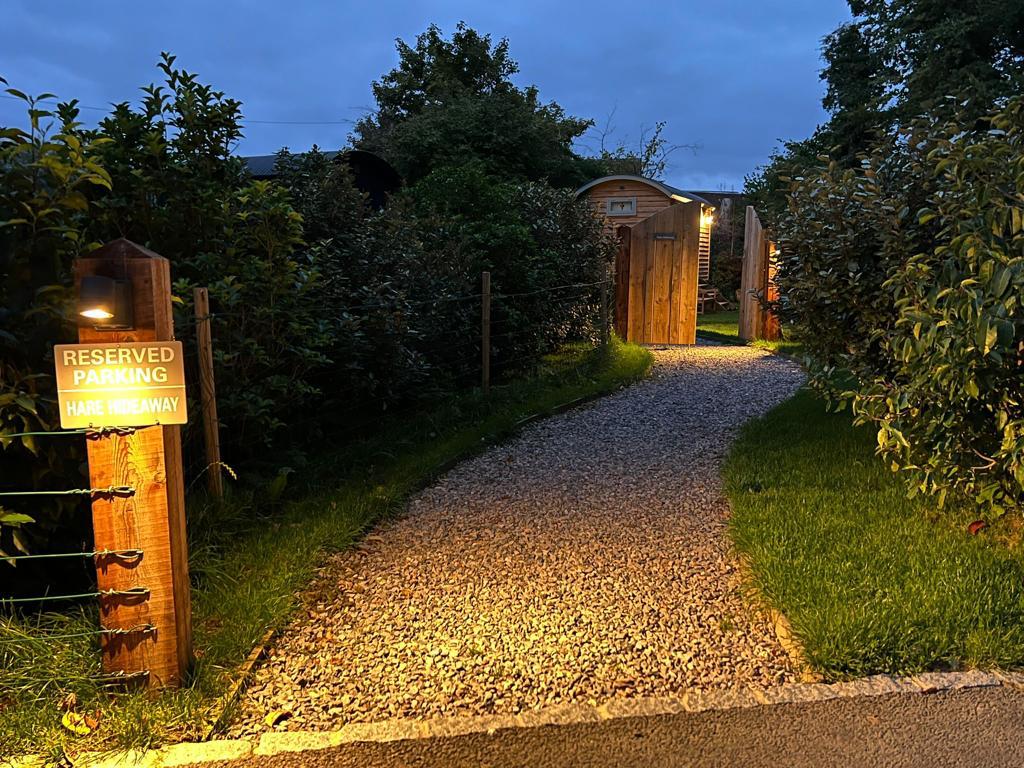 Cosy Evening Arrivals