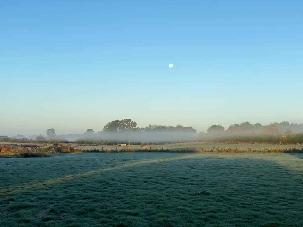 Frosty field