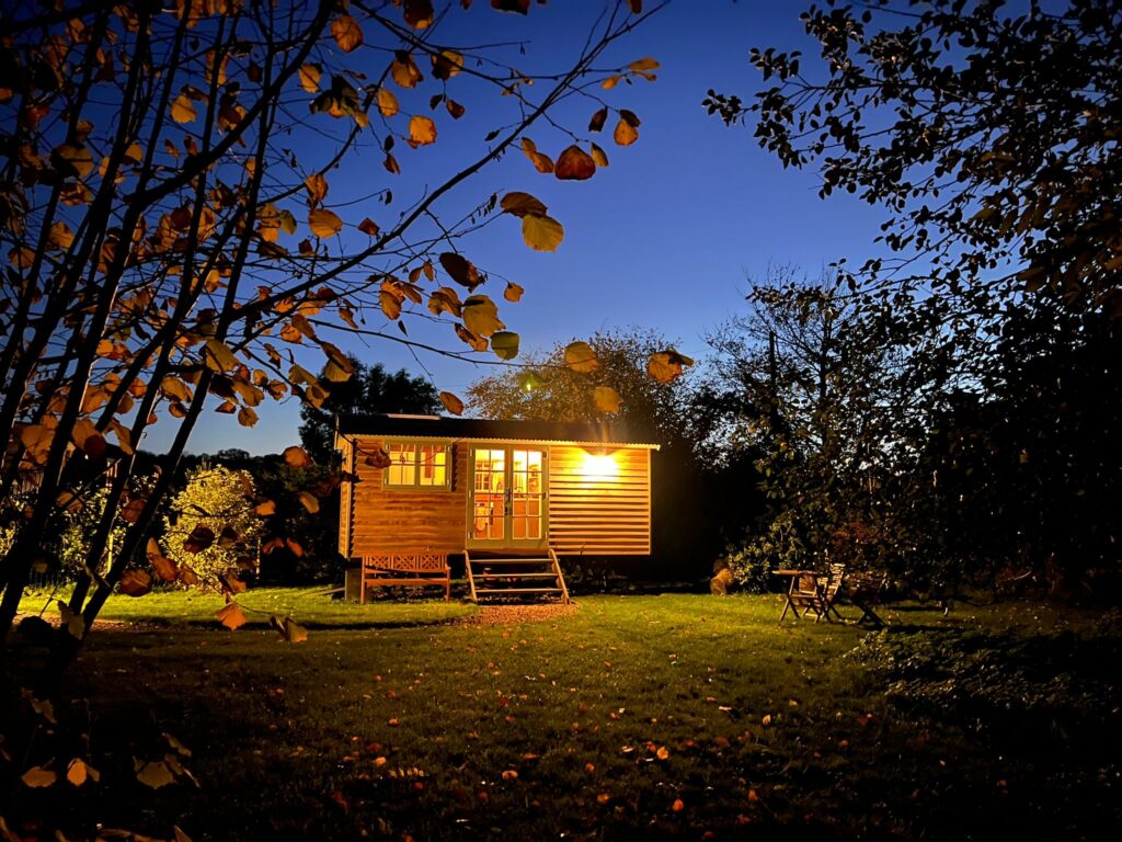 Hare-Hideaway-Twilight