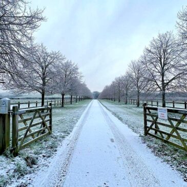 Enjoy a Peaceful Christmas Getaway at Cocklebury Farm 🎄