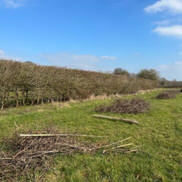 Winter Farm Work! 🌱🚜