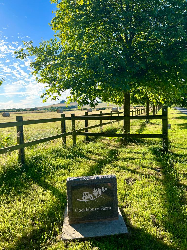 Welcome To Cocklebury!