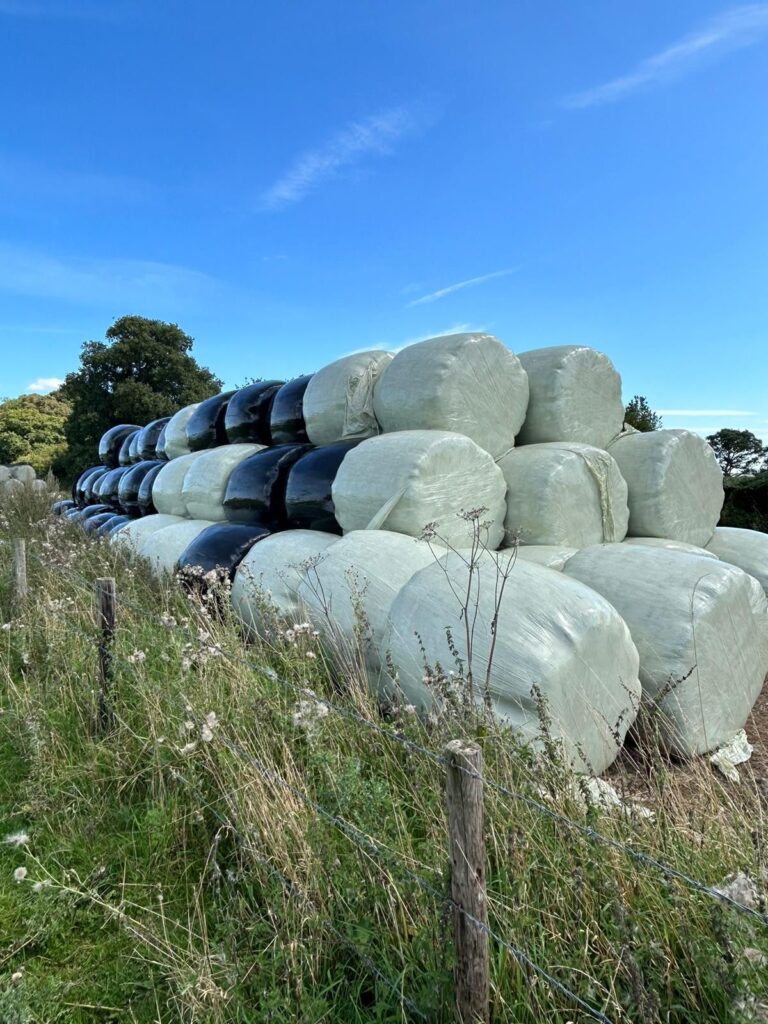 Hay Bales 2023