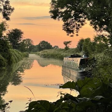Late spring at Cocklebury – Mornings
