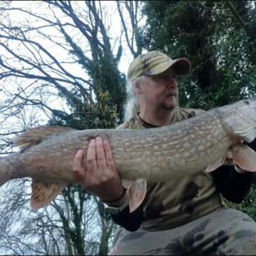 WOW-Now that’s a fish!