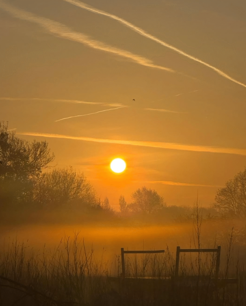 Spring Sunrise over a misty field