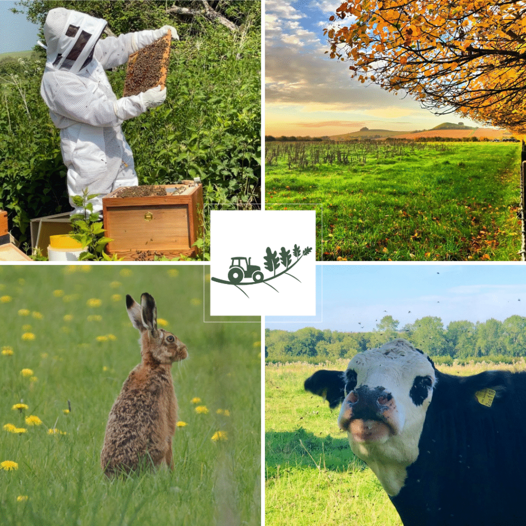 A collage of 4 farm photos with the Cocklebury logo in the centre